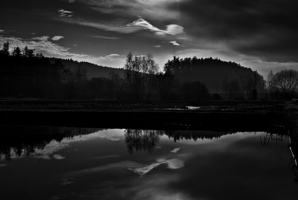 Moody Waters
