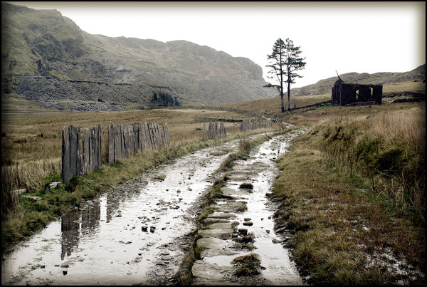 Ruined Chapel, Cwm Orthin