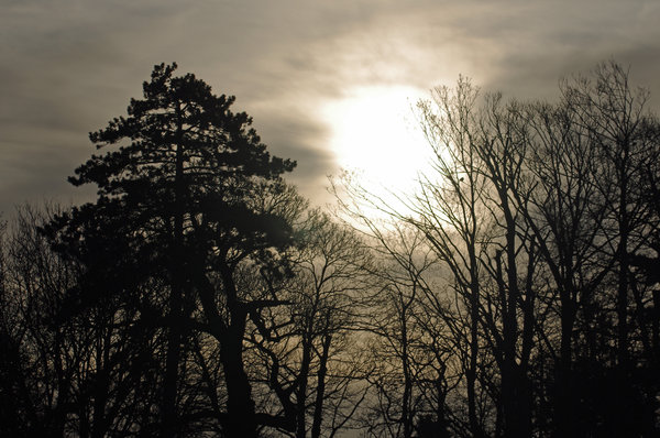 Shades of grey