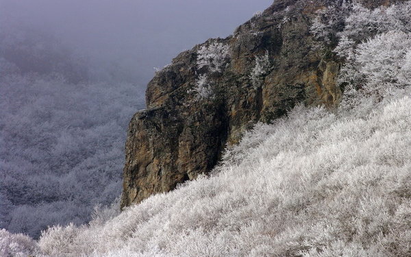Silver Mountains
