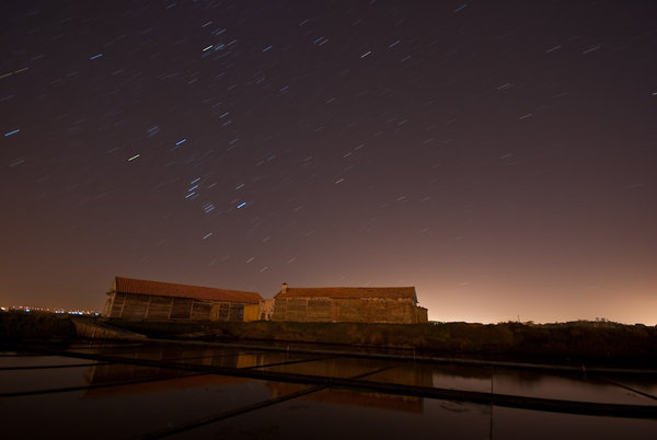 The Stars