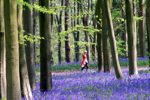 Walking through the woods.