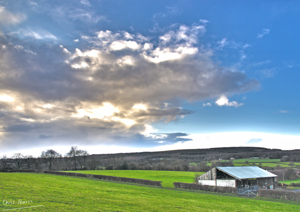 Whitley Sky
