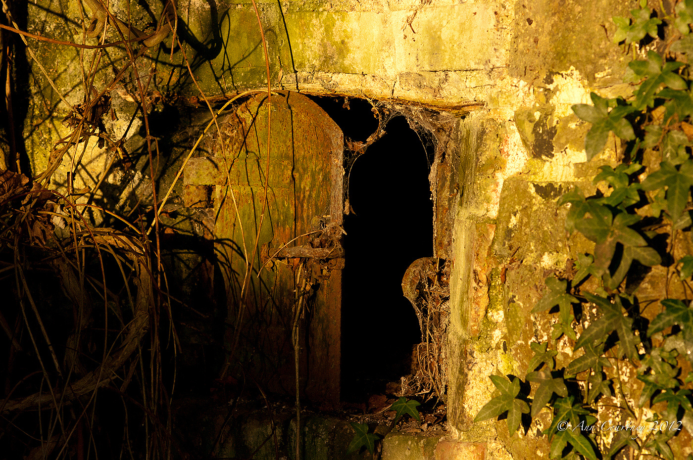 Bread Oven