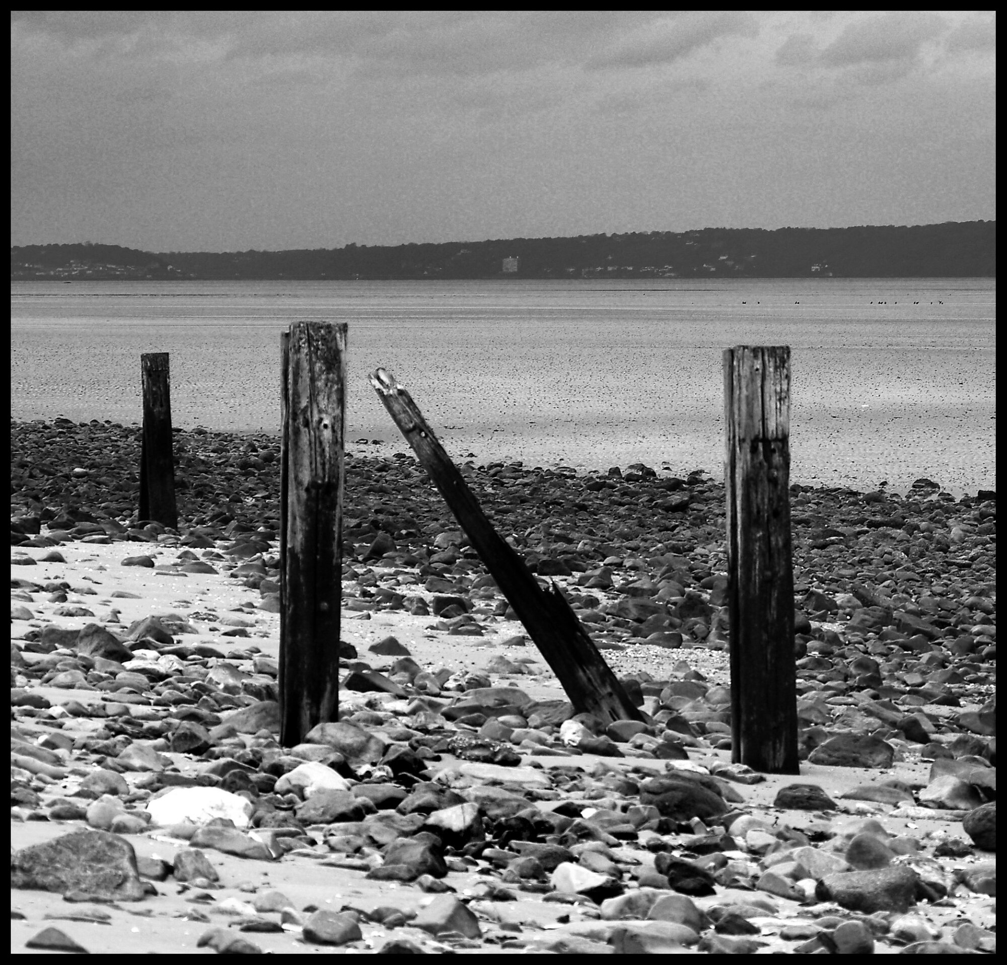 Posts