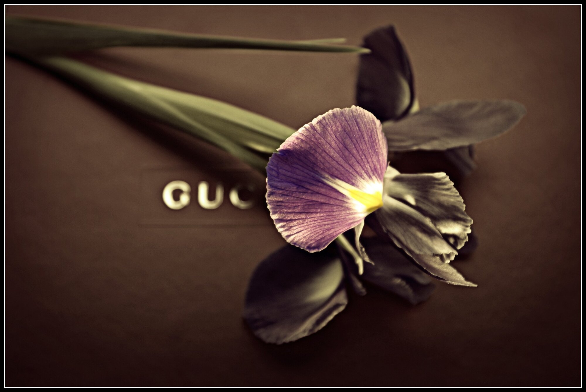 Prone Iris