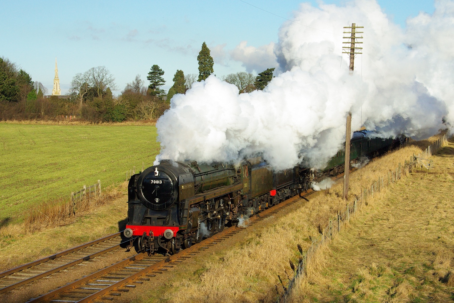 Steam Survivor