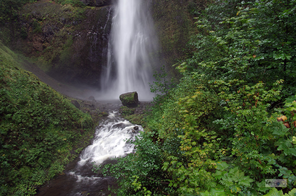 Multnomah Falls Rock and Fauna, Oregon, USA