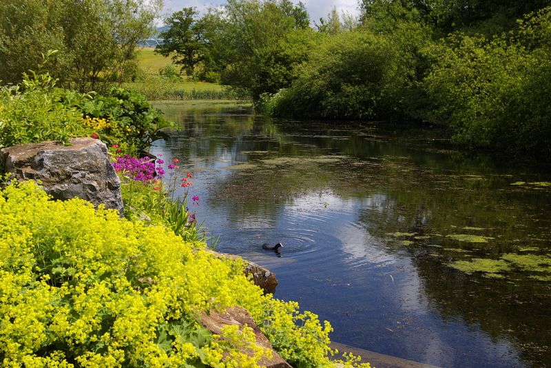 Tranquillity