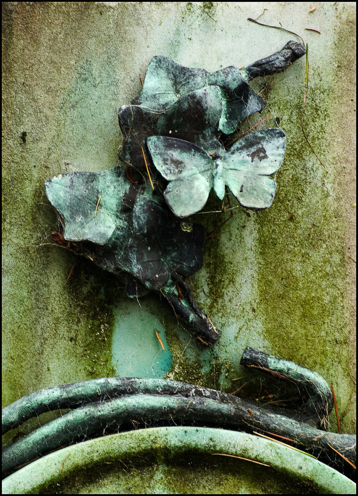 Verdigris Butterfly