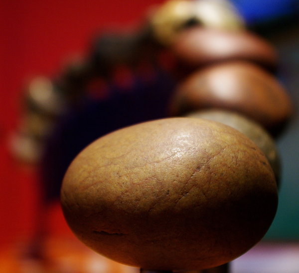 A specimen at National History Museum