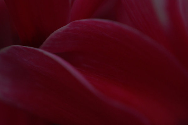 A Study in Pink