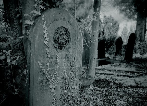 Affectionate Remembrance