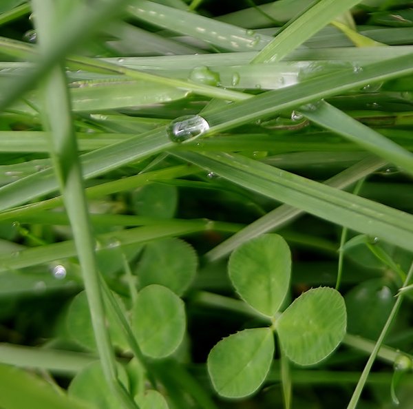 After the rain has gone