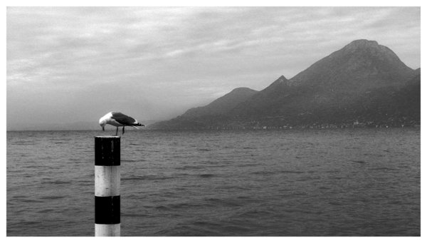 An Ugly day at Garda Lake
