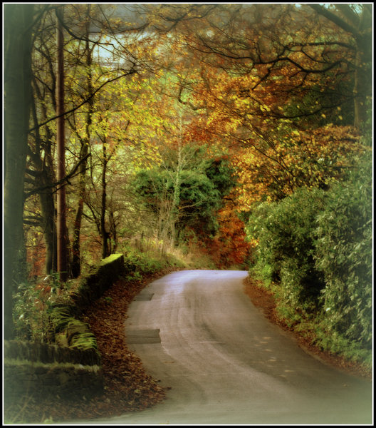 Autumn lane