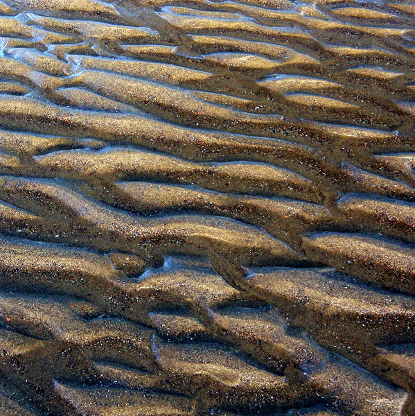 Beach Abstract