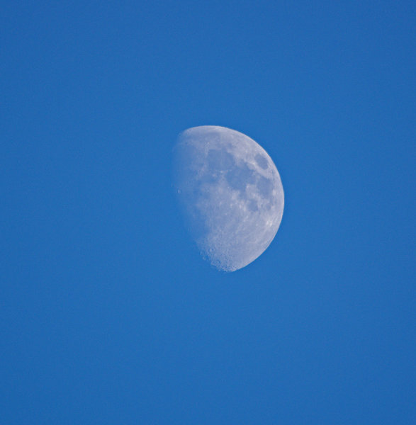 Blue moon