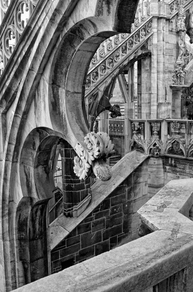 Flying  Buttresses of  Duomo di Milano II
