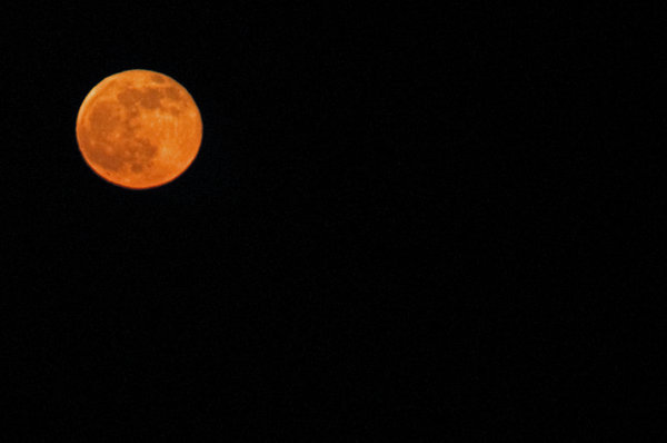 Grapefruit moon