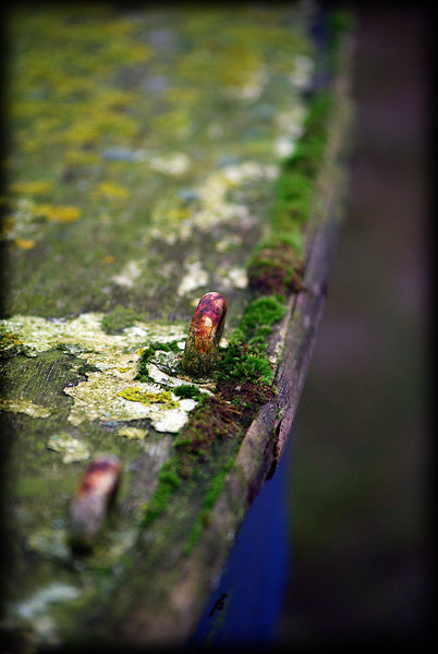 Gunwale