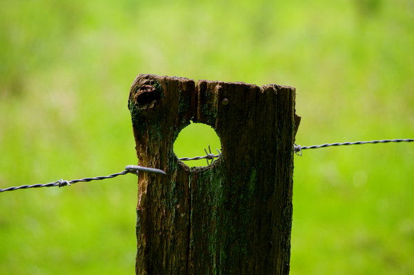 hole in one