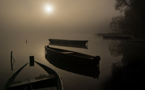 In the fog - vol1