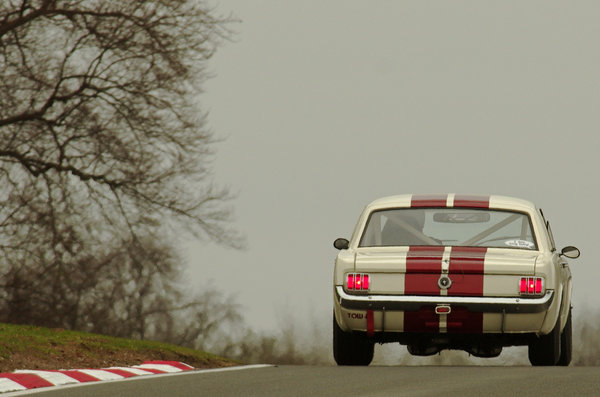 Mustang salvo