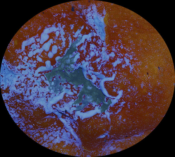 Past Sell-by Date