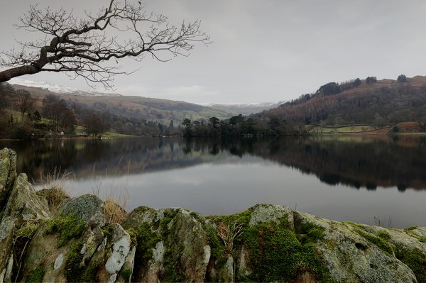 Rydal View