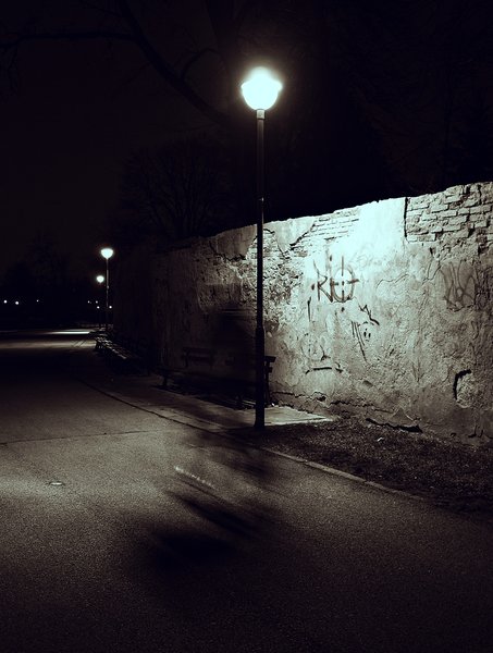 The Cyclist