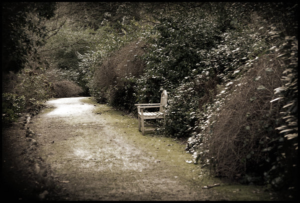 The Moss-dappled Path