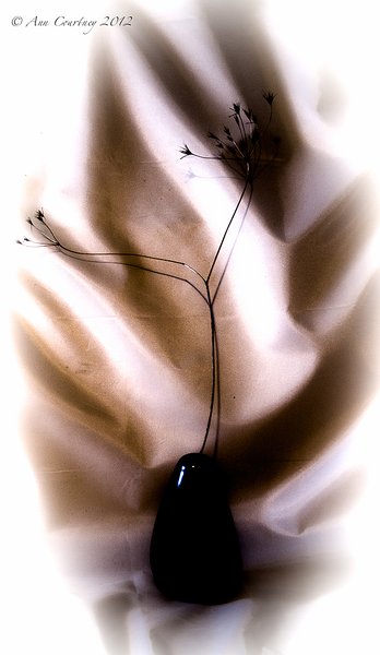 Twigs