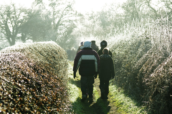 Winter Walk