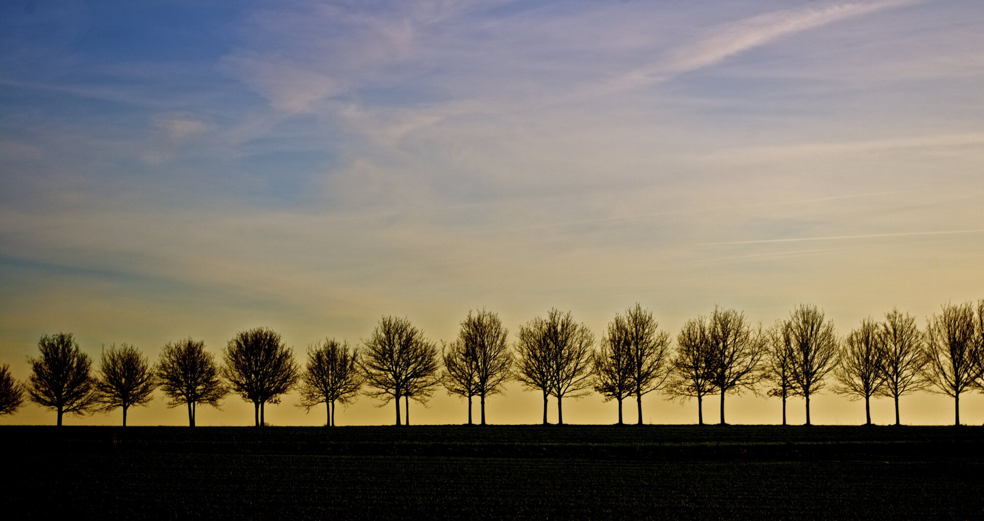 line up
