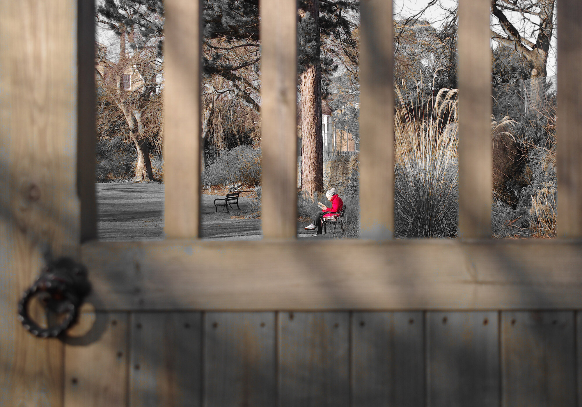 Through the gate