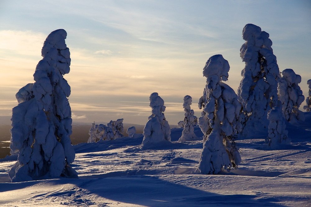 A day in lapland