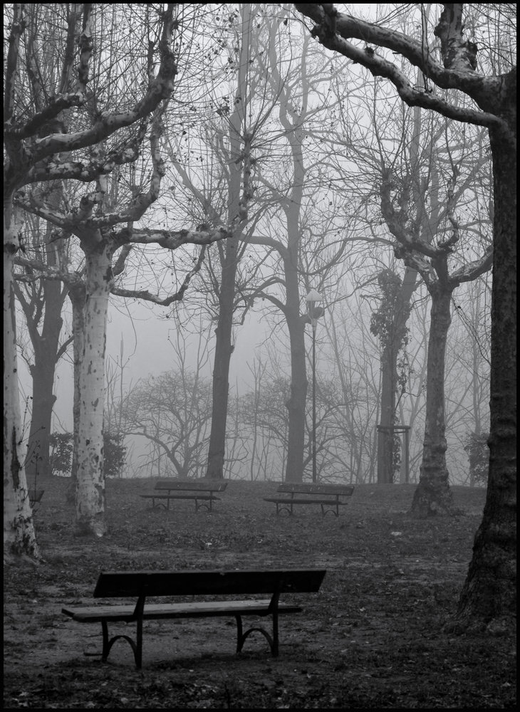 Benches in the Mist