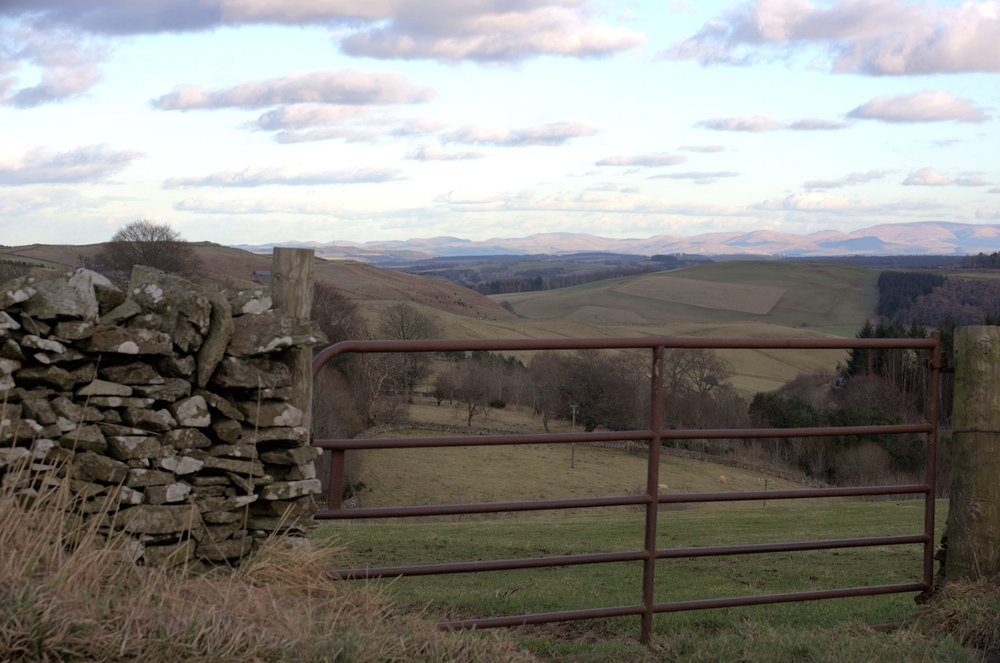 Border hills in wintry sun last weekend