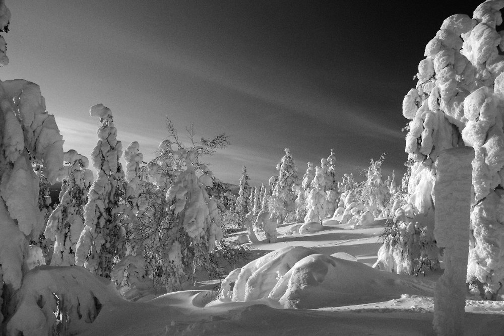 Lapland 2012 - B&W