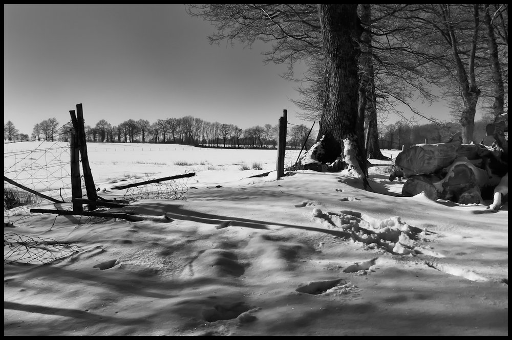 Snowy Field