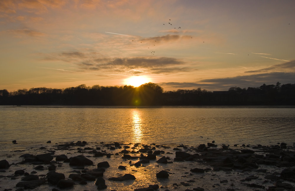 Winter Sunset