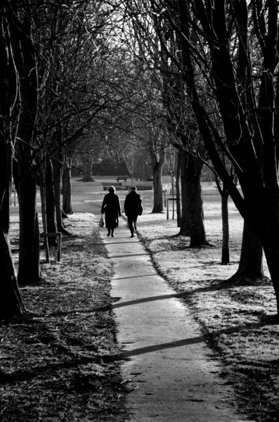 A Walk in the Park