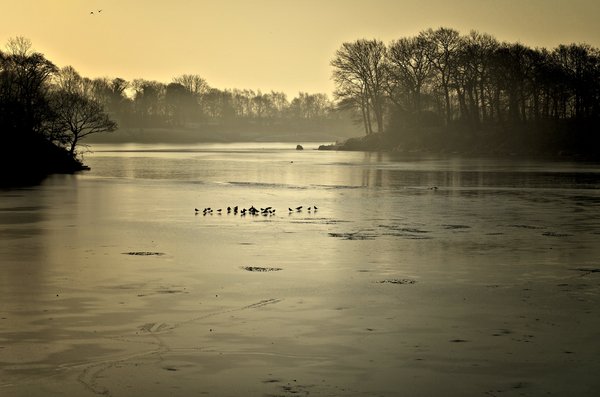 A Winters morning
