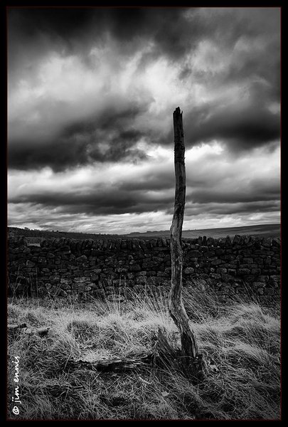 Branchless