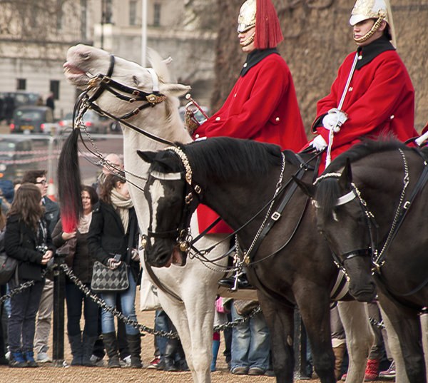 Changing of the Guard. (9)