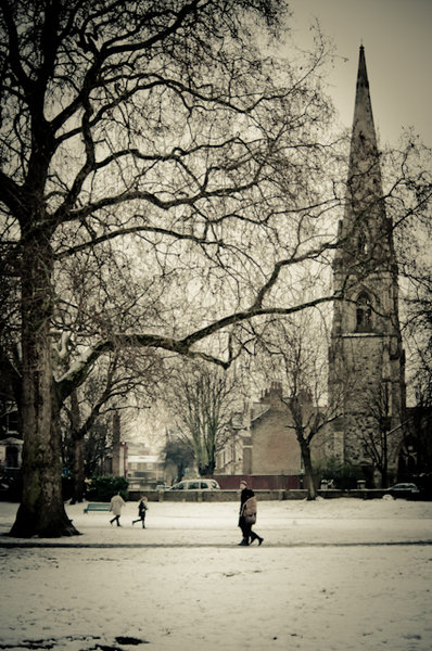 couple walking in park