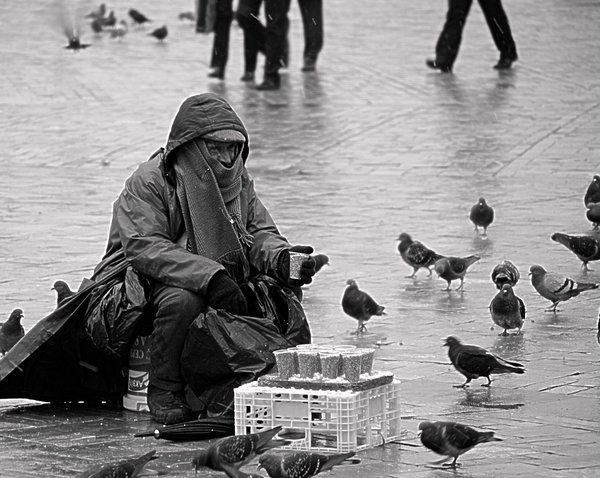 Despite the cold #2