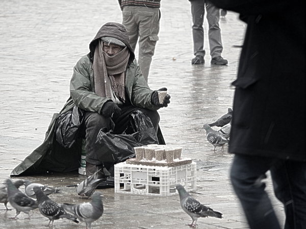 Despite the cold