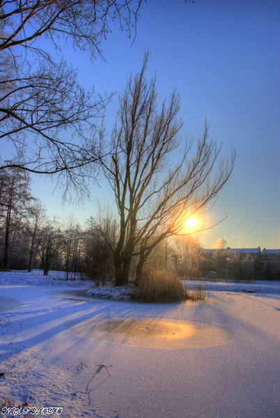 Ice Age